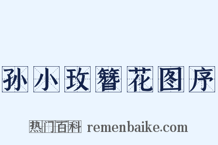 孙小玫簪花图序是什么意思的图片